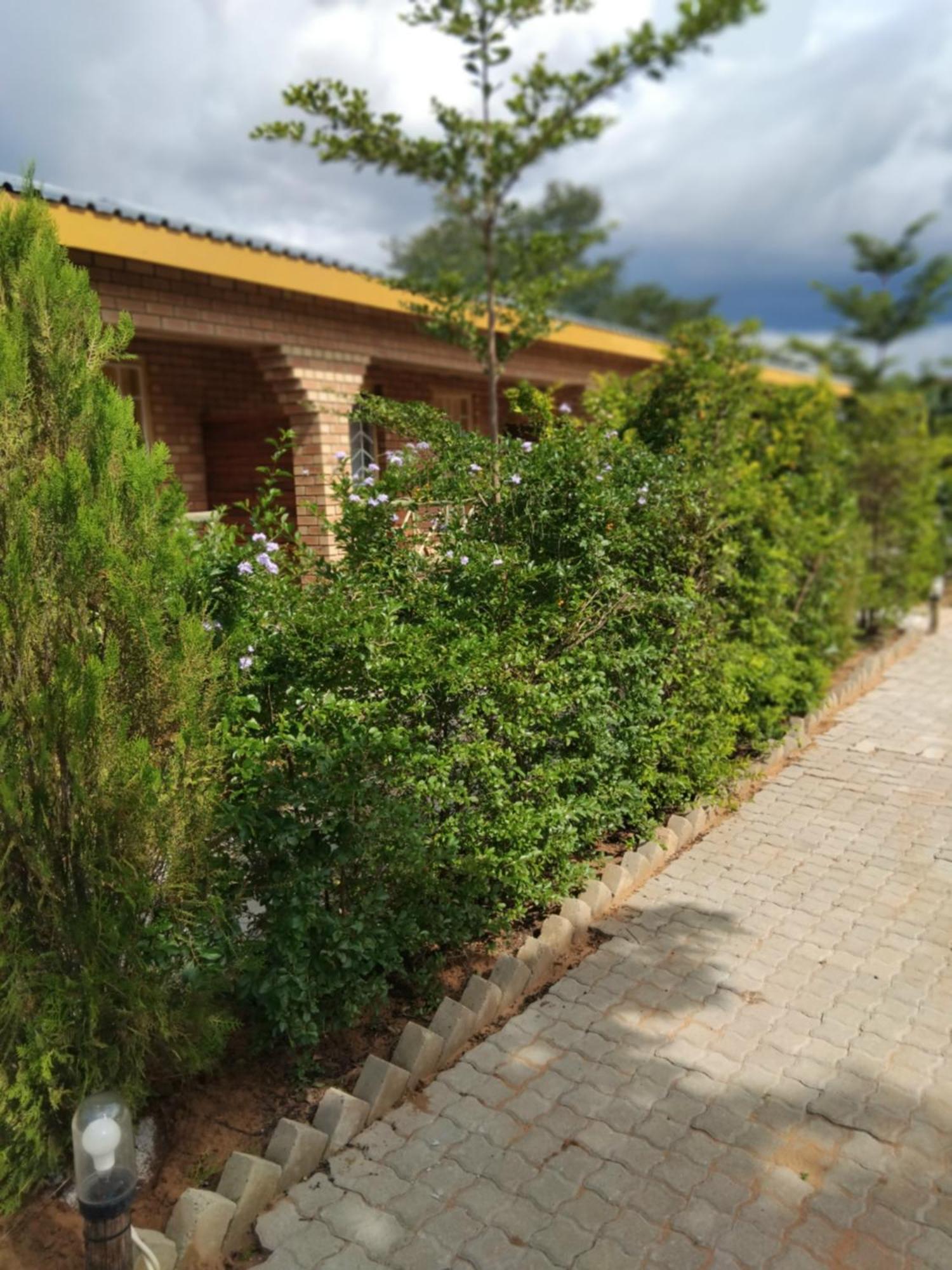 Sunshinevibe Guest House Kasane Eksteriør billede